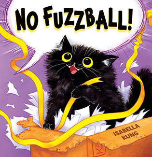 NO FUZZBALL! Front Cover